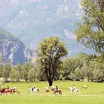 Bed and Breakfast Ca Elsa 3*