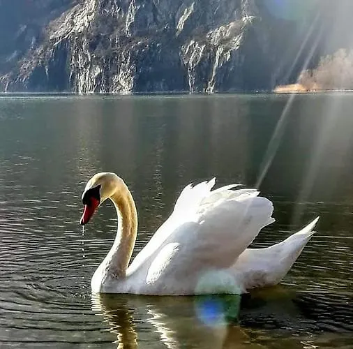 Bed & Breakfast Ca Elsa Dubino